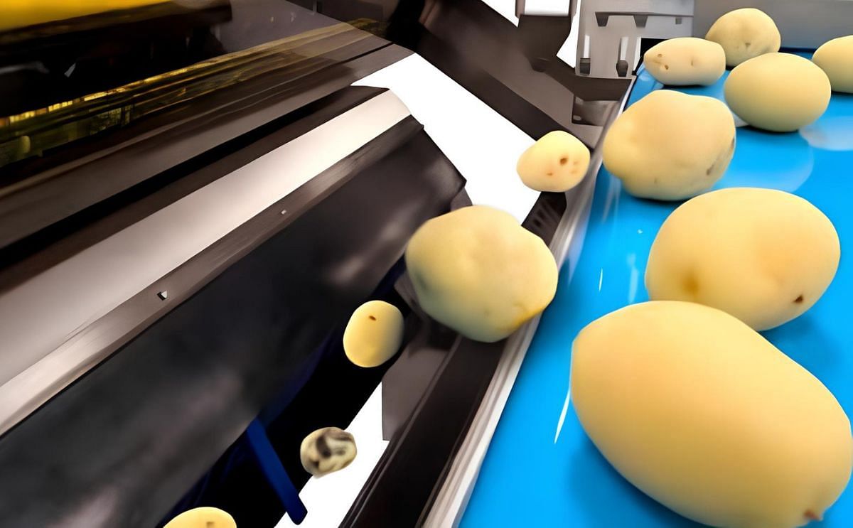Foreign Object Removal in potato processing: TOMRA 5A removes 98+% of foreign materials after washing and peeling Foreign Object Removal in potato processing: TOMRA 5A removes 98+% of foreign materials after washing and peeling