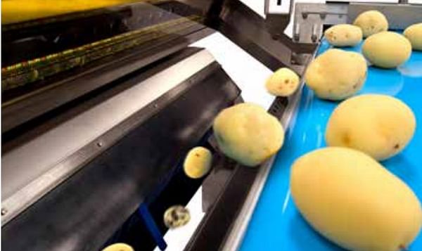Foreign Object Removal in potato processing: TOMRA 5A removes 98+% of foreign materials after washing and peeling