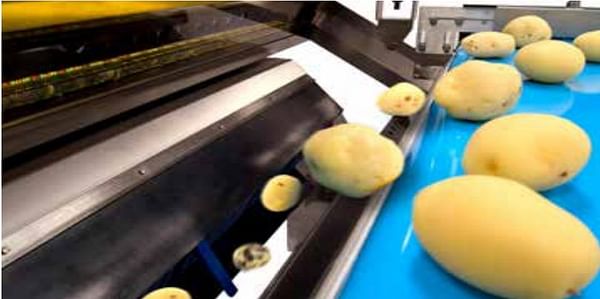 Foreign Object Removal in potato processing: TOMRA 5A removes 98+% of foreign materials after washing and peeling