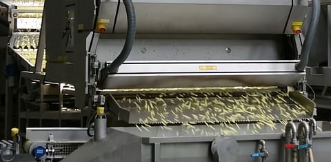 French Fry Revolution: TOMRA Sorting introduces Sort-to-Spec