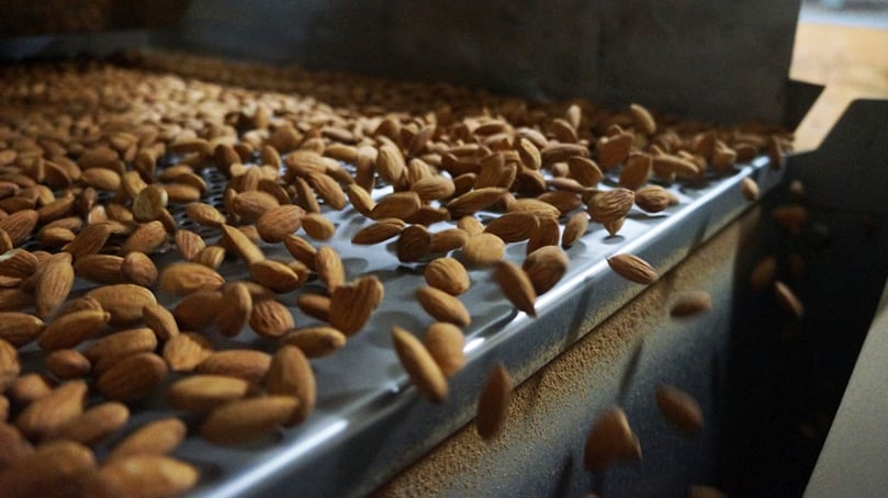 Sorting Almonds Sorting Almonds