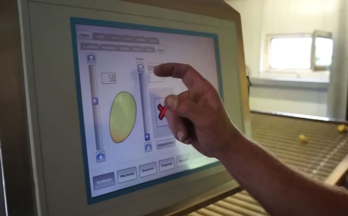 Hof Trumann: Sorting brushed potatoes on farm with a TOMRA Halo Hof Trumann: Sorting brushed potatoes on farm with a TOMRA Halo