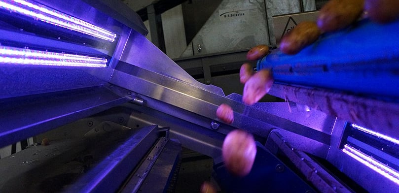 If you want
to increase productivity and improve potato
quality even further, you have to switch to
optical sorting. If you want
to increase productivity and improve potato
quality even further, you have to switch to
optical sorting.