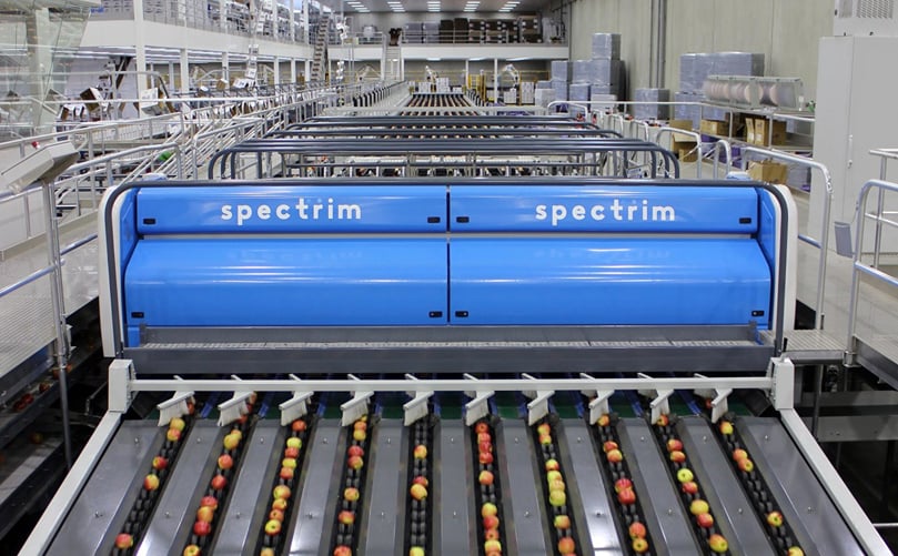 Sorting technology will play an increasingly important role in the supermarket of the future. Sorting technology will play an increasingly important role in the supermarket of the future.