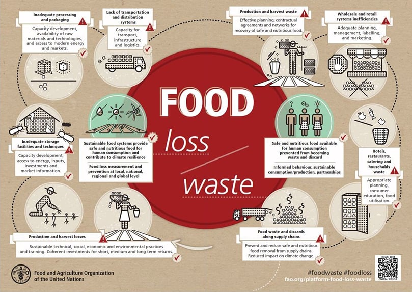 Food waste versus food loss. Food waste versus food loss.