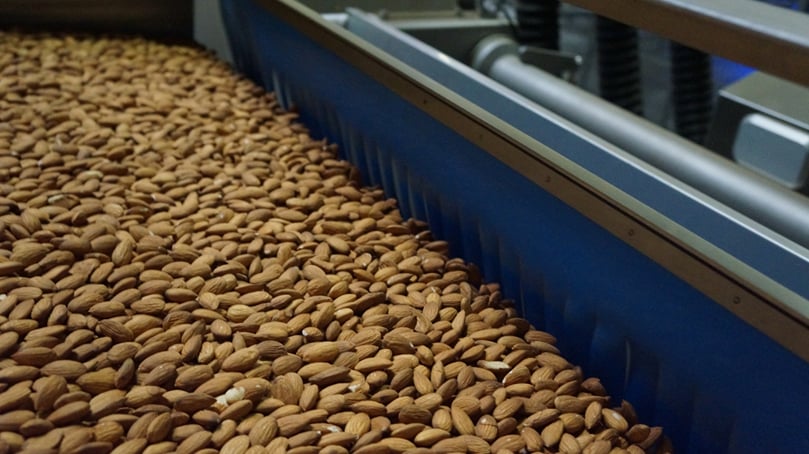 Sorting Almonds Sorting Almonds