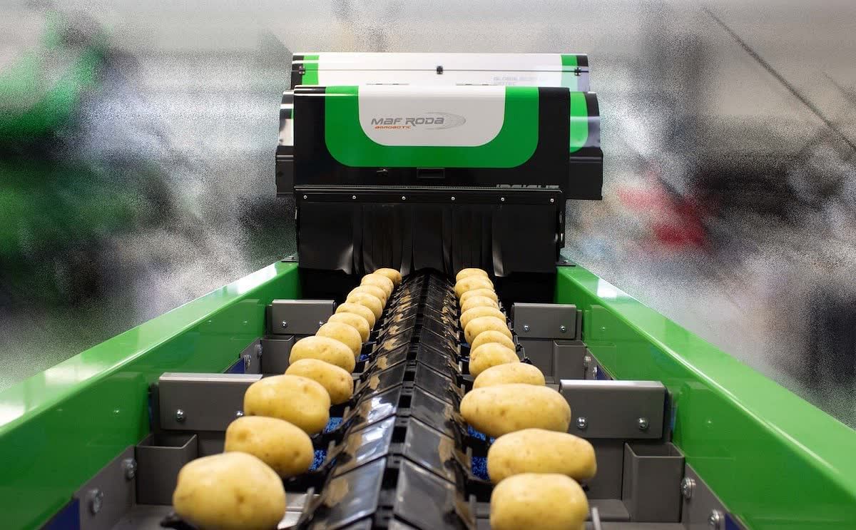 Potato handling equipment manufacturerTong keeps an eye on automation at BP2021