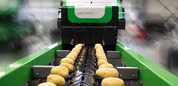 Potato handling equipment manufacturerTong keeps an eye on automation at BP2021