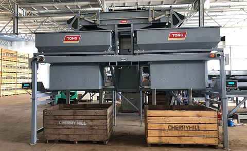 Tong's new high capacity twin-head box filler at seed potato processor Cherry Hill Coolstores, based in Tasmania. Tong's new high capacity twin-head box filler at seed potato processor Cherry Hill Coolstores, based in Tasmania.