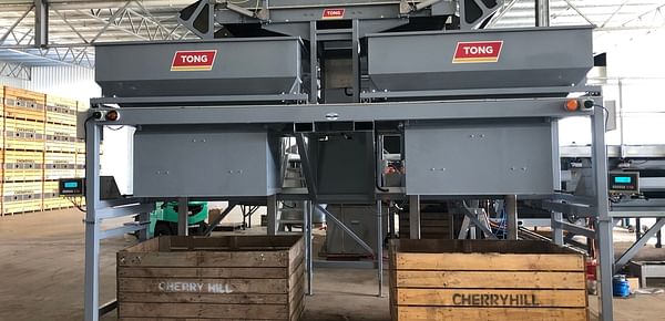 Tong’s new MonstaFill high capacity filler ticks all the boxes for Tasmanian Seed Potato Processor