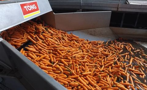 Tong Engineering pre-soak equipment applied for carrots. Tong Engineering pre-soak equipment applied for carrots.