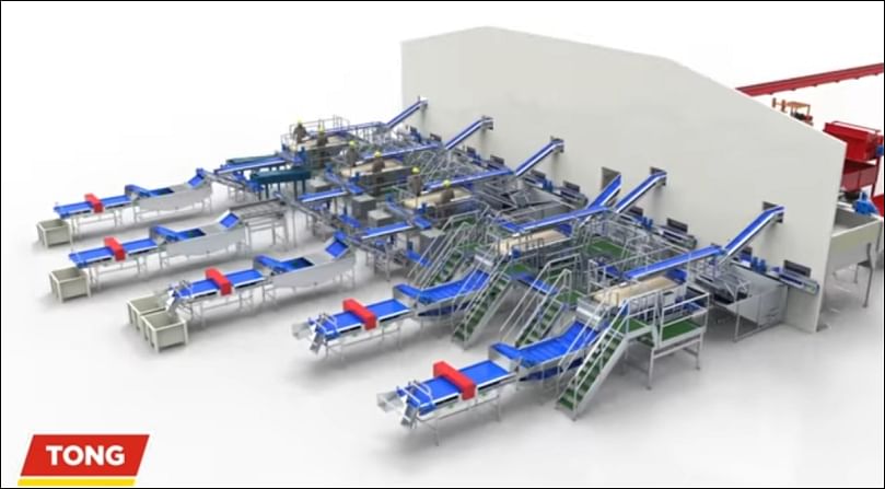 Potato Processing & Peeling Line from Tong Engineering
