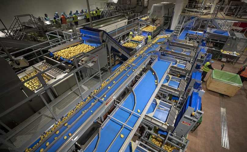 A Complete Potato Washing and Sorting line by Tong Engineering with the new barrel washer