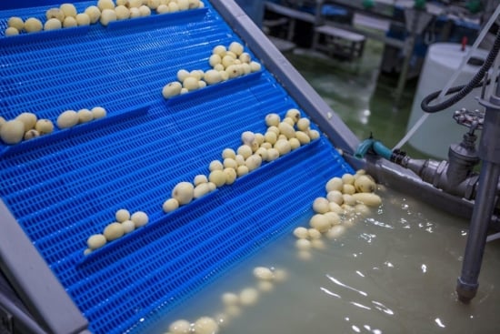 The partnership between Tong Engineering and Marcelissen opens new opportunities, e.g. in the area of peeled potato products. The partnership between Tong Engineering and Marcelissen opens new opportunities, e.g. in the area of peeled potato products.