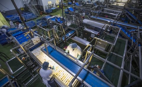 Charles Tong, Chairman at Tong Engineering: "We are well-known for our grading expertise, and Marcelissen's optical grader for peeled product, which sorts crop on size, quality and shape, will complete our grading capabilities in all crop situations, from Charles Tong, Chairman at Tong Engineering: "We are well-known for our grading expertise, and Marcelissen's optical grader for peeled product, which sorts crop on size, quality and shape, will complete our grading capabilities in all crop situations, from