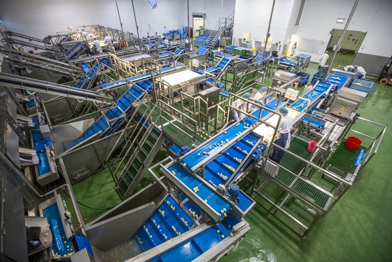 Potato Peeling and Inspection Potato Peeling and Inspection