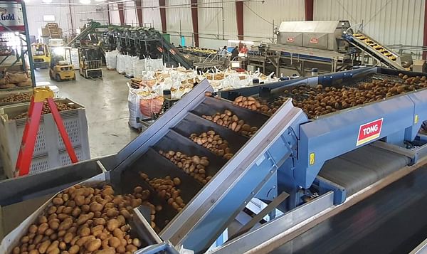 US potato packer Skone & Connors installs Tong grading and washing equipment 