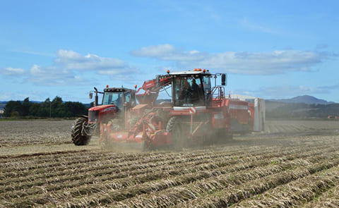 Irrigation is becoming a necessity in many UK potato fields Irrigation is becoming a necessity in many UK potato fields