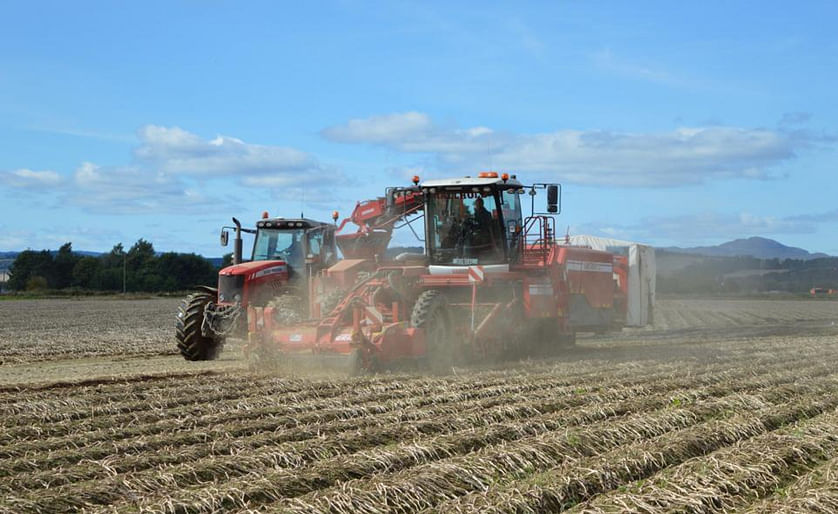 Irrigation is becoming a necessity in many UK potato fields