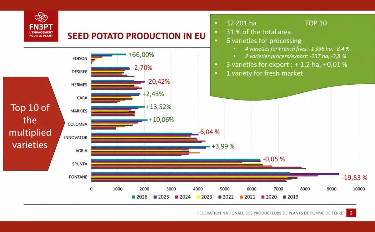 The top 10 seed potato varieties covered 32,201 hectares in 2026, accounting for 31% of the total multiplication area, with French fry varieties showing the largest decline.