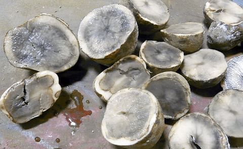 Important Potato Diseases and Tips to Manage them in Storage
Important Potato Diseases and Tips to Manage them in Storage