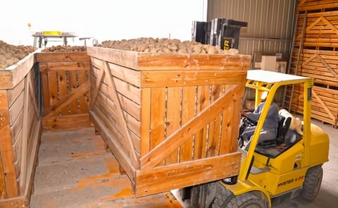 Gran demanda de patatas francesas por parte de España. Gran demanda de patatas francesas por parte de España.