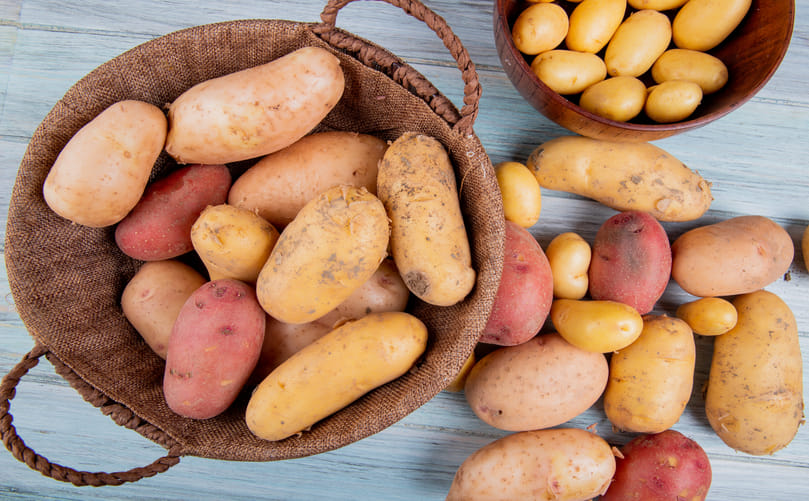 Global Chip Leaders: Top Potato Varieties in Action