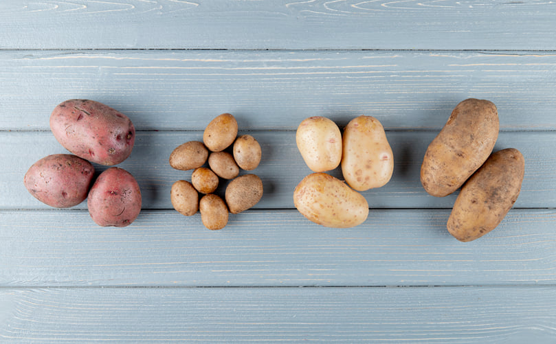 Vibrant Palette of Specialty Potatoes
