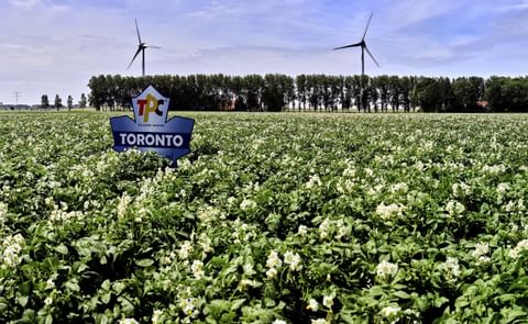 Potato cooperative Agrico to acquire The Potato Company (TPC) to expand its acreage and sales channels Potato cooperative Agrico to acquire The Potato Company (TPC) to expand its acreage and sales channels