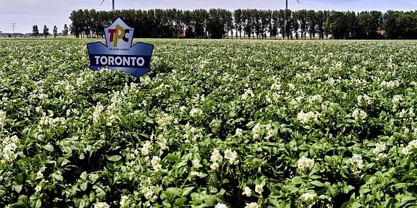 Potato cooperative Agrico to acquire The Potato Company (TPC) to expand its acreage and sales channels