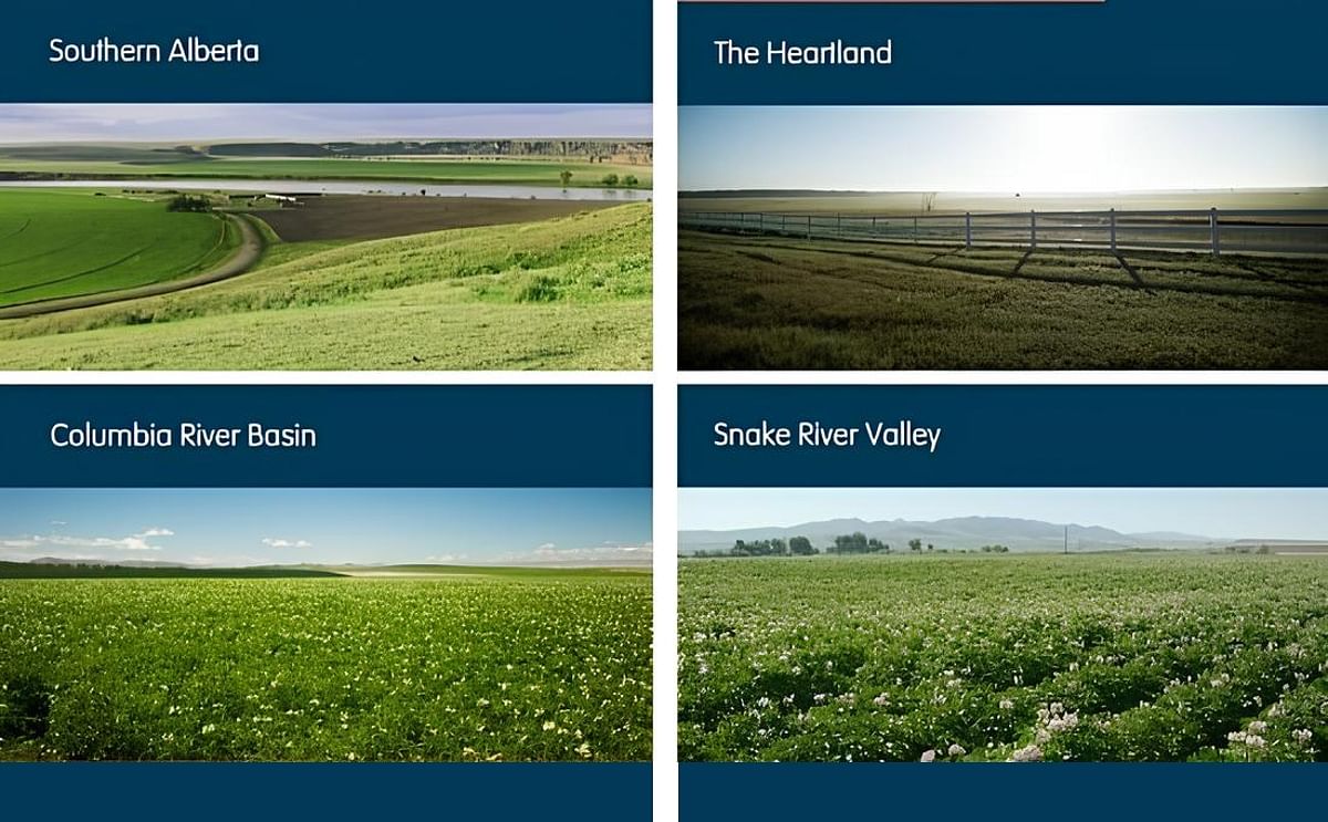 Where do my french fries come from? Where do my french fries come from?