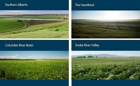 Where do my french fries come from? Where do my french fries come from?