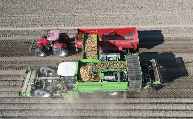 A tractor and harvester collect potatoes on the Van der Linde family farm in Krummhörn, reflecting the farm’s strategic shift to seed potato production supported by significant investments in machinery, storage, and modern sorting technology.