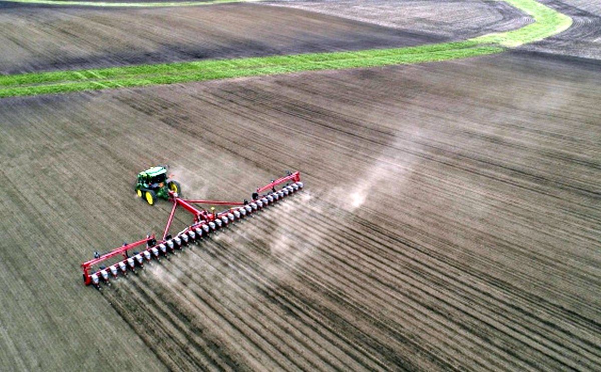 Americans tear up old eating habits, forcing farms to raze crops Americans tear up old eating habits, forcing farms to raze crops