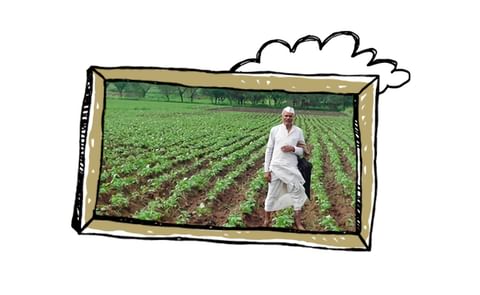 McCain, DuPont empower Gujarat Potato Farmers McCain, DuPont empower Gujarat Potato Farmers
