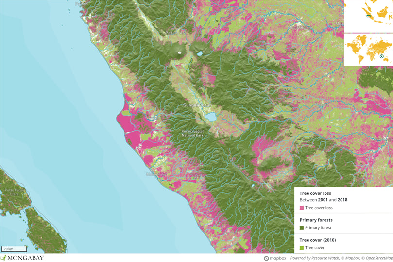 Forest Cover Map Forest Cover Map