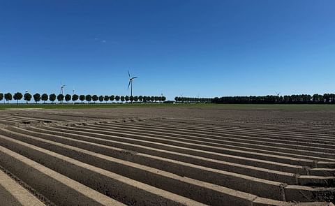 Trial fields at PotatoEurope 2025 Trial fields at PotatoEurope 2025
