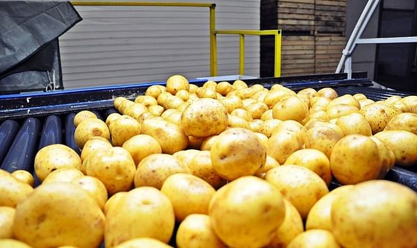 How to Resolve Foam Formation During Potato Processing