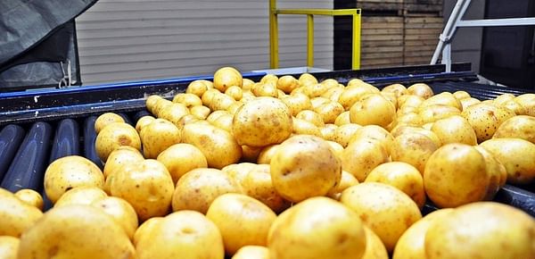 How to Resolve Foam Formation During Potato Processing