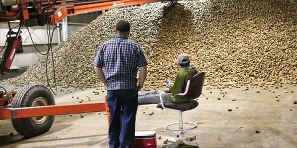 Trucking shortage hinders sale of record Aroostook County potato harvest