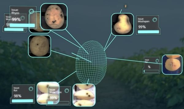 Potato packers across North America exceed expectations with Ellips Potato packers across North America exceed expectations with Ellips
