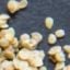 True Potato Seed (TPS)