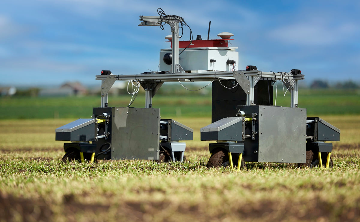B-hive Innovations is developing a technology that goes beyond imaging the potato plant: potato tubers are inspected using ground penetrating radar. B-hive Innovations is developing a technology that goes beyond imaging the potato plant: potato tubers are inspected using ground penetrating radar.