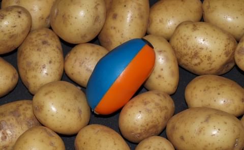 The TuberLog is a powerful tool to identify sources of damage and bruising in all types of potato handling machinery The TuberLog is a powerful tool to identify sources of damage and bruising in all types of potato handling machinery