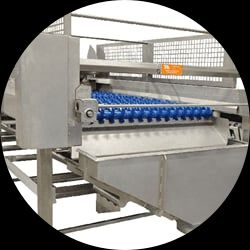 Continuous sorter