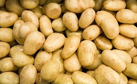 Turkey’s Potato Import Restrictions Could Affect European Exports Turkey’s Potato Import Restrictions Could Affect European Exports