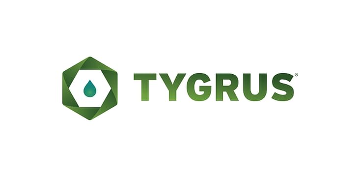 Tygrus