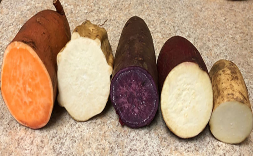 Vibrant Palette of Specialty Potatoes Vibrant Palette of Specialty Potatoes
