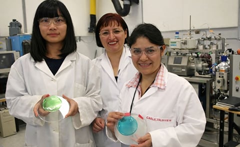 Marleny Aranda Saldaña (middle) with graduate students Yujia Zhao (left) and Carla Sofia Valdivieso Ramirez. Saldaña and her research team developed a (potato-) starch-based plastic film that has antioxidant and antimicrobial properties. Marleny Aranda Saldaña (middle) with graduate students Yujia Zhao (left) and Carla Sofia Valdivieso Ramirez. Saldaña and her research team developed a (potato-) starch-based plastic film that has antioxidant and antimicrobial properties.