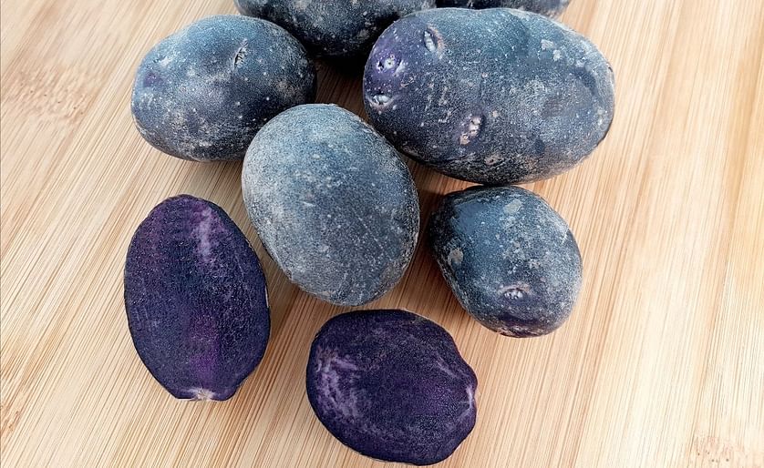 La patata 'Beltza', de color púrpura, posee un elevado contenido en compuestos antioxidantes beneficiosos para la salud.(Cortesía Neiker)
